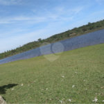 Terreno à Venda na Lagoa Dourada - Próximo à Represa do Broa