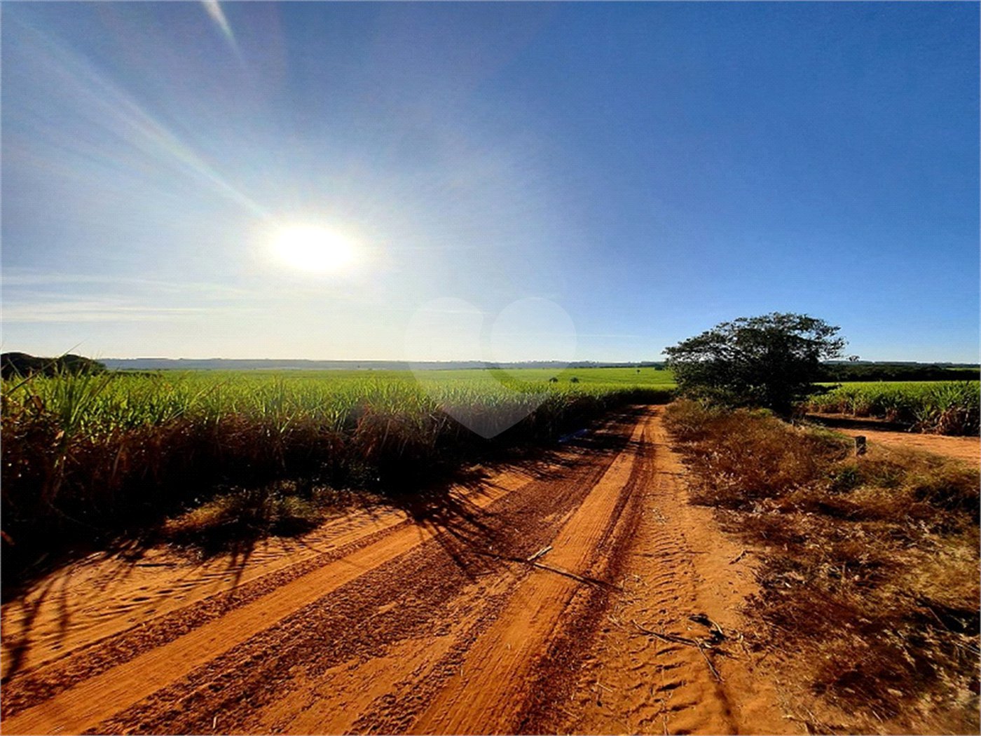 Fazenda em Ribeirão Bonito