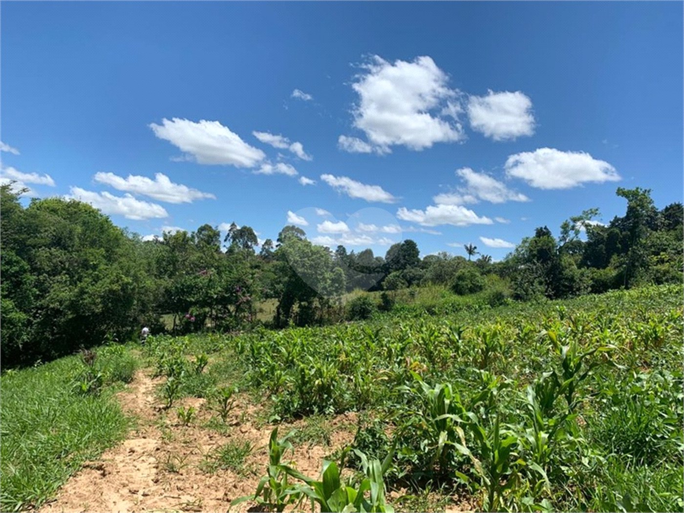 Área de Terra à venda em Cristóvão, Araçoiaba da Serra, SP