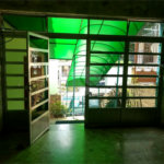 Sobrado à venda com 3 quartos, sendo 1 suíte, em Água Fria, São Paulo, SP