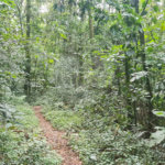 Terreno à venda em Caraguatá, Mairiporã, SP