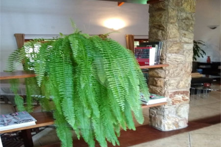 Chácara à venda com 4 suítes em Vale das Laranjeiras, Indaiatuba, SP