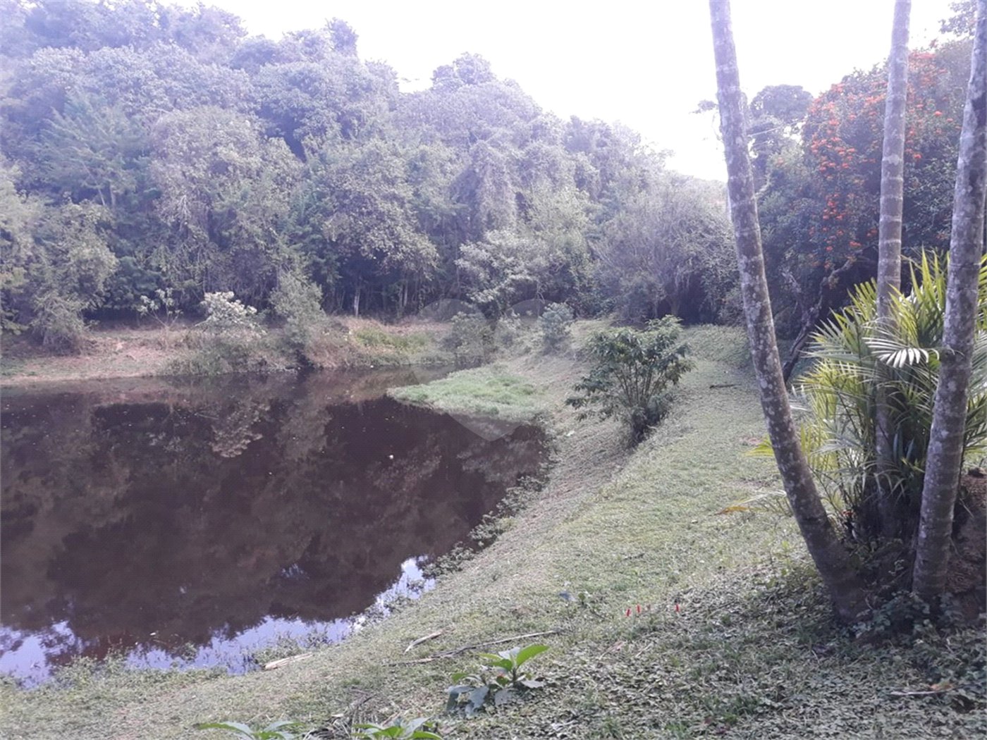 Sítio à venda com 5 quartos, sendo 3 suítes,  em Planalto Verde, São Roque, SP