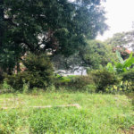Terreno à venda em Tremembé, São Paulo, SP