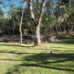 Casa Pé na Água em Atibaia com Acesso à Represa e Mais de 3.000 m² de Natureza
