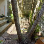 Sobrado à venda com 3 quartos, sendo 1 suíte, em Tucuruvi, São Paulo, SP