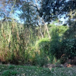 Terreno à venda no condomínio Alpes da Cantareira, Mairiporã - SP