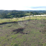 Terreno à venda em Jardim Aracy, Mogi das Cruzes, SP