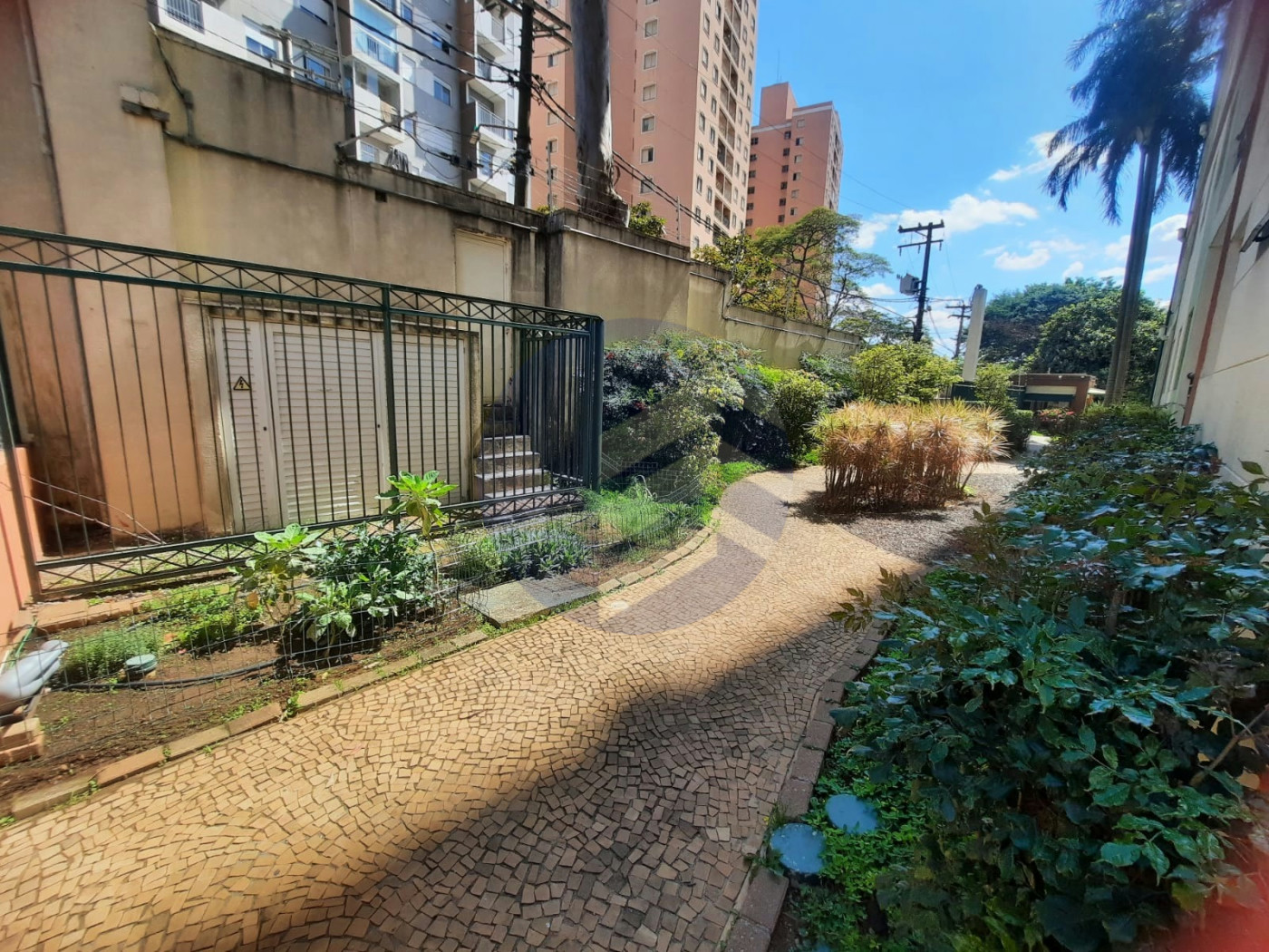 Apartamento à venda com 3 quartos, sendo 1 suíte, em Vila Butantã, São Paulo - SP