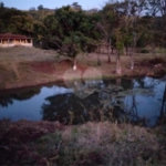Sítio à venda com 2 quartos no Centro, Descalvado, SP