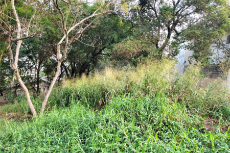 Terreno à venda em Tucuruvi, São Paulo, SP