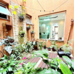 Casa com 4 dormitórios à venda, 160 m² por R$ 1.499.000,00 - Aparecida - Santos/SP