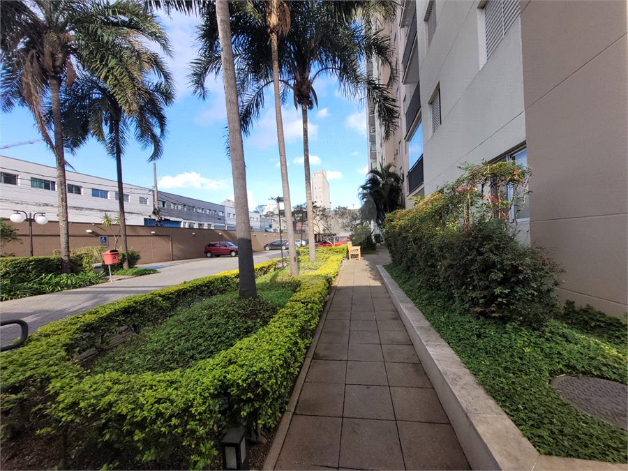 Apartamento à venda ou para alugar com 2 quartos, sendo 1 suíte, em Rio Pequeno, São Paulo, SP