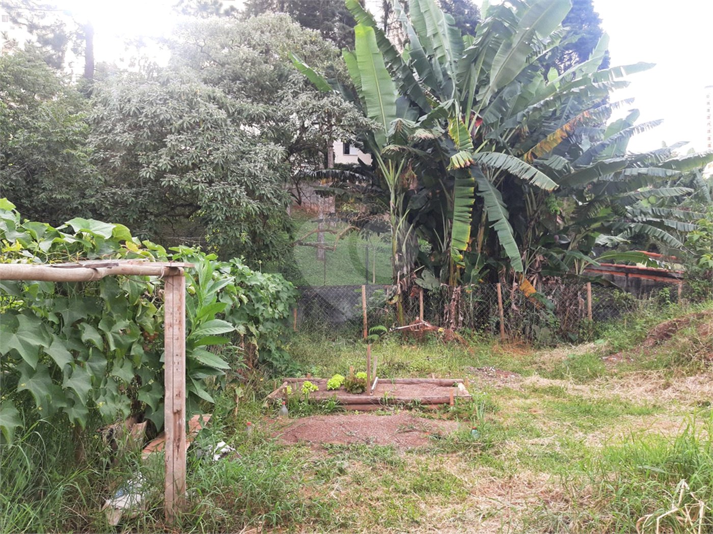 Terreno à venda em Tucuruvi, São Paulo, SP