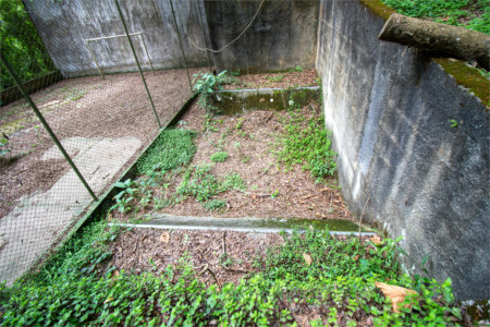 Chácara à venda com 4 quartos, sendo 2 suítes, em Vila Santa Rita, São Roque, SP