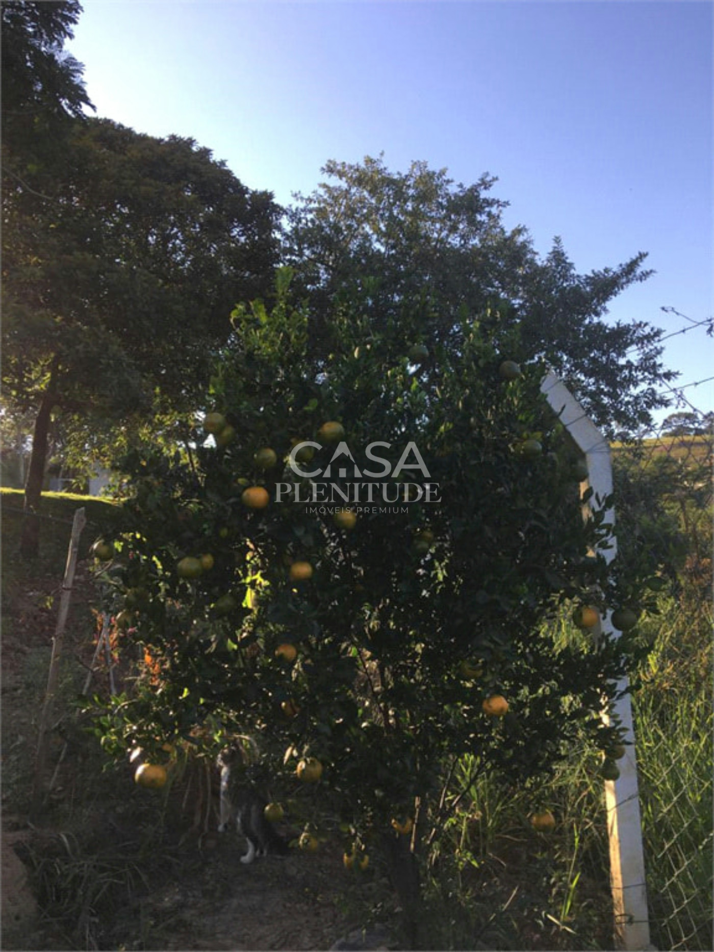 Chácara à venda com 2 quartos, sendo 1 suíte,  em Fazenda Genebra, Sorocaba, SP