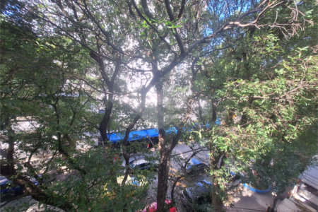 Apartamento à venda com 3 quartos em Tijuca, Rio de Janeiro, RJ