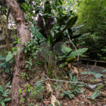 Terreno à venda em Jardim Prudência, São Paulo, SP