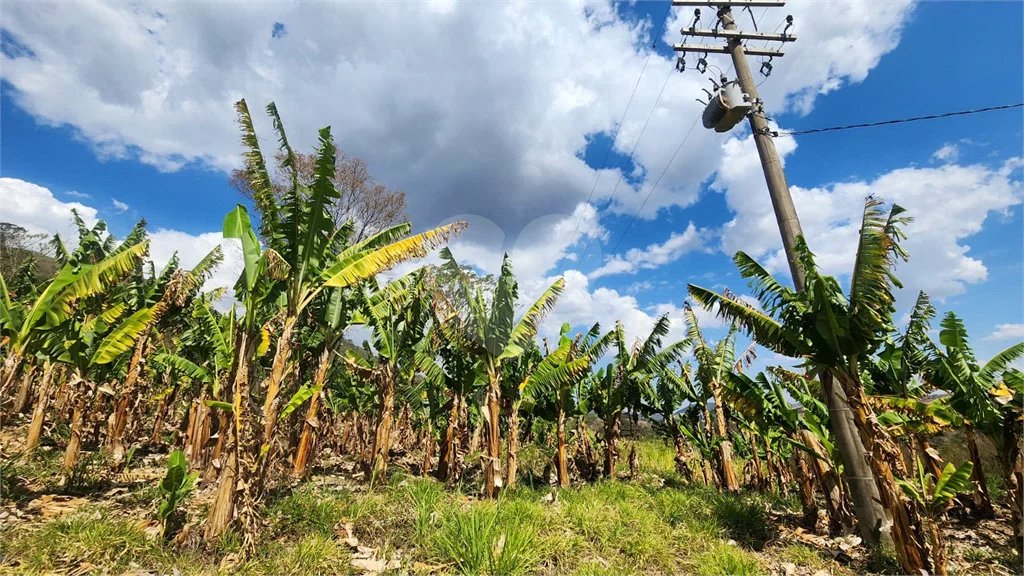 Sítio de 31 mil m² à VENDA em Àguas da Prata/SP
