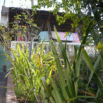 Sobrado à venda com 2 quartos em Vila Guilherme, São Paulo, SP