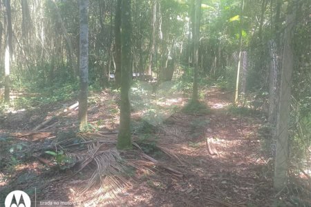 Terreno à venda em Dos Finco, São Bernardo do Campo, SP