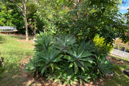 Chácara à venda com 3 quartos, sendo 2 suítes,  em Jundiacanga, Araçoiaba da Serra, SP
