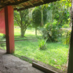 Sítio à venda com 2 quartos em Taiaçupeba, Mogi das Cruzes, SP