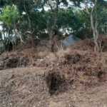 Terreno à venda no condomínio Itaguaçu da Cantareira, São Paulo - SP