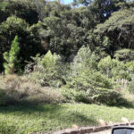 Terreno à venda em Serra da Cantareira, Mairiporã, SP