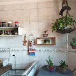 Apartamento à venda com 2 quartos em Parada Inglesa, São Paulo, SP