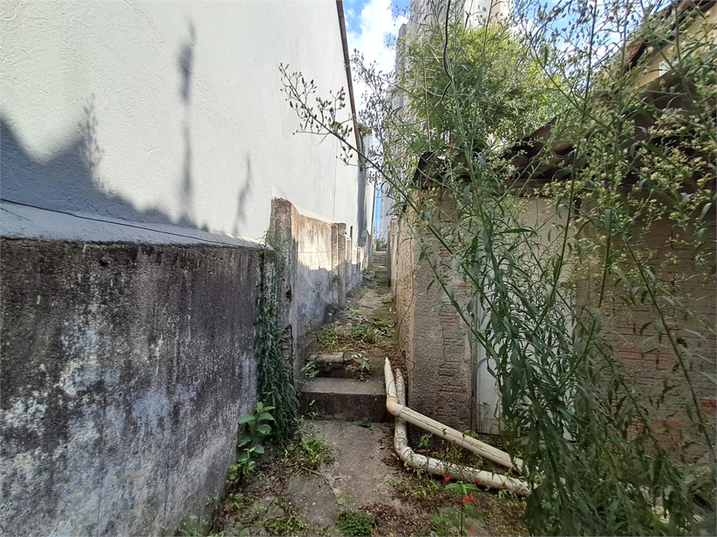 Casa à venda com 3 quartos em Vila Gustavo, São Paulo, SP