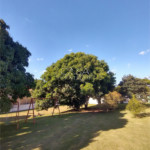 Chácara à venda com 5 quartos, sendo 1 suíte,  em Araçoiaba da Serra, SP