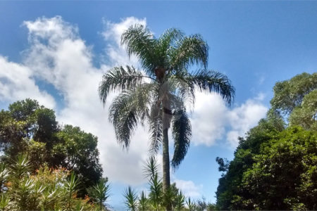 Casa à venda com 3 quartos, sendo 1 suíte,  em Eldorado, São Paulo, SP