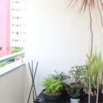 Apartamento à venda com 2 quartos em Casa Verde, São Paulo, SP