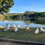 Terreno à venda no condomínio Villaggio Paradiso, Itatiba - SP
