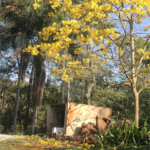 Sobrado à venda com 3 suítes em Barreiro, Mairiporã, SP