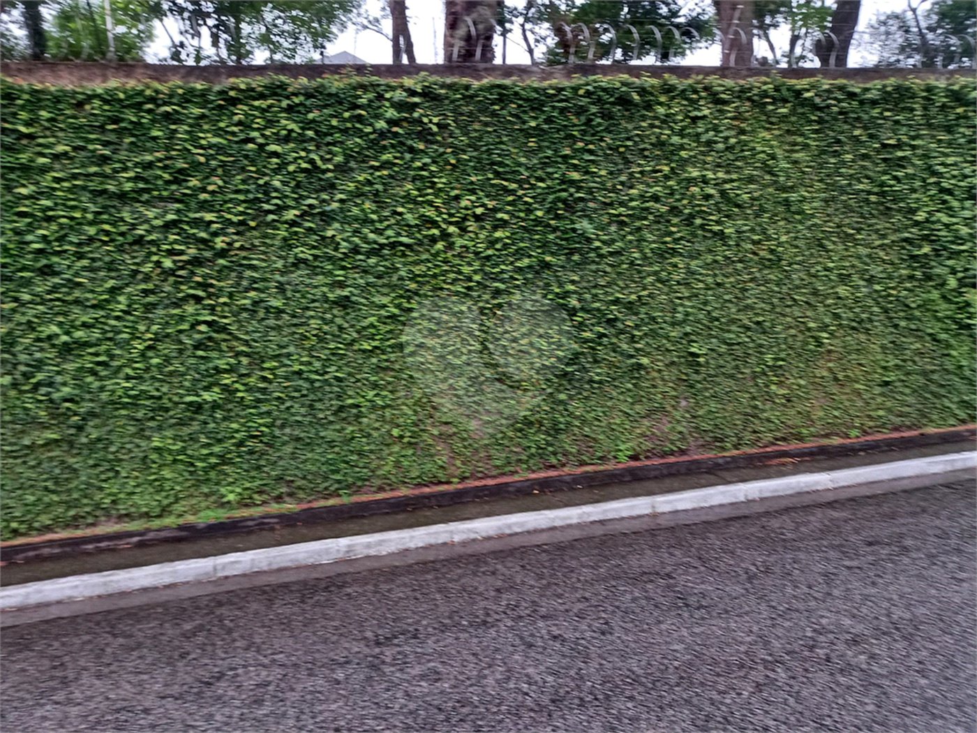Terreno à venda em Jardim França, São Paulo, SP
