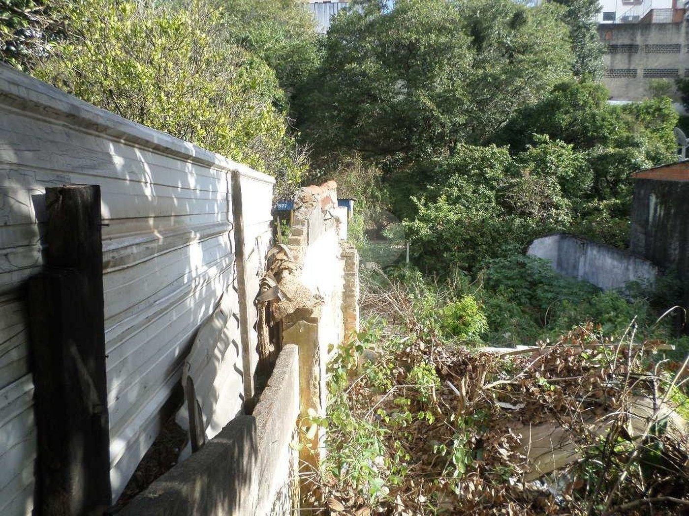 Terreno à venda ou para alugar em Água Fria, São Paulo, SP