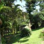 Sobrado à venda com 5 quartos, sendo 1 suíte, em Roseira, Mairiporã, SP