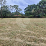 Loteamento Residencial no Condomínio Vila Pinhal do Broa.