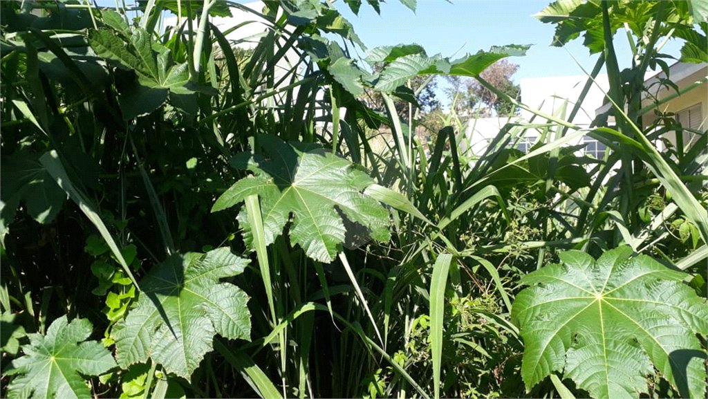 Terreno à venda em Jardim São Bento, São Paulo, SP