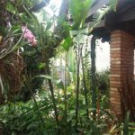 Casa à venda com 3 quartos, sendo 1 suíte, em Vila Cruzeiro, São Paulo, SP