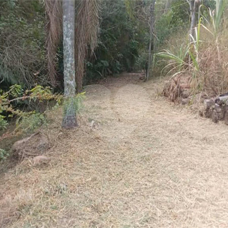 Área de Terra à venda em Jardim Cardoso (mailasqui), São Roque, SP