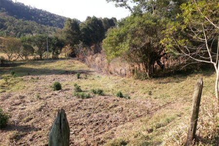 Sítio à venda com 3 quartos em Bairro do Cambará, São Roque, SP