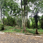 Terreno à venda no condomínio Sausalito, Mairiporã - SP