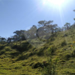 Terreno à venda em Vila Palmares, Franco da Rocha, SP
