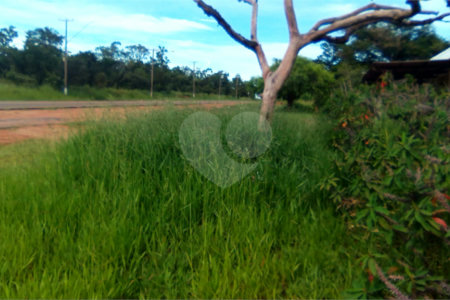 Terreno em Água Vermelha