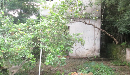 Casa Térrea à venda com 1 quarto em Santana, São Paulo, SP