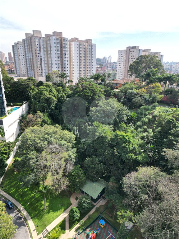 Terreno à venda em Paraisópolis, São Paulo, SP