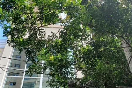 Apartamento à venda com 3 suítes em Jardim Fonte do Morumbi, São Paulo, SP